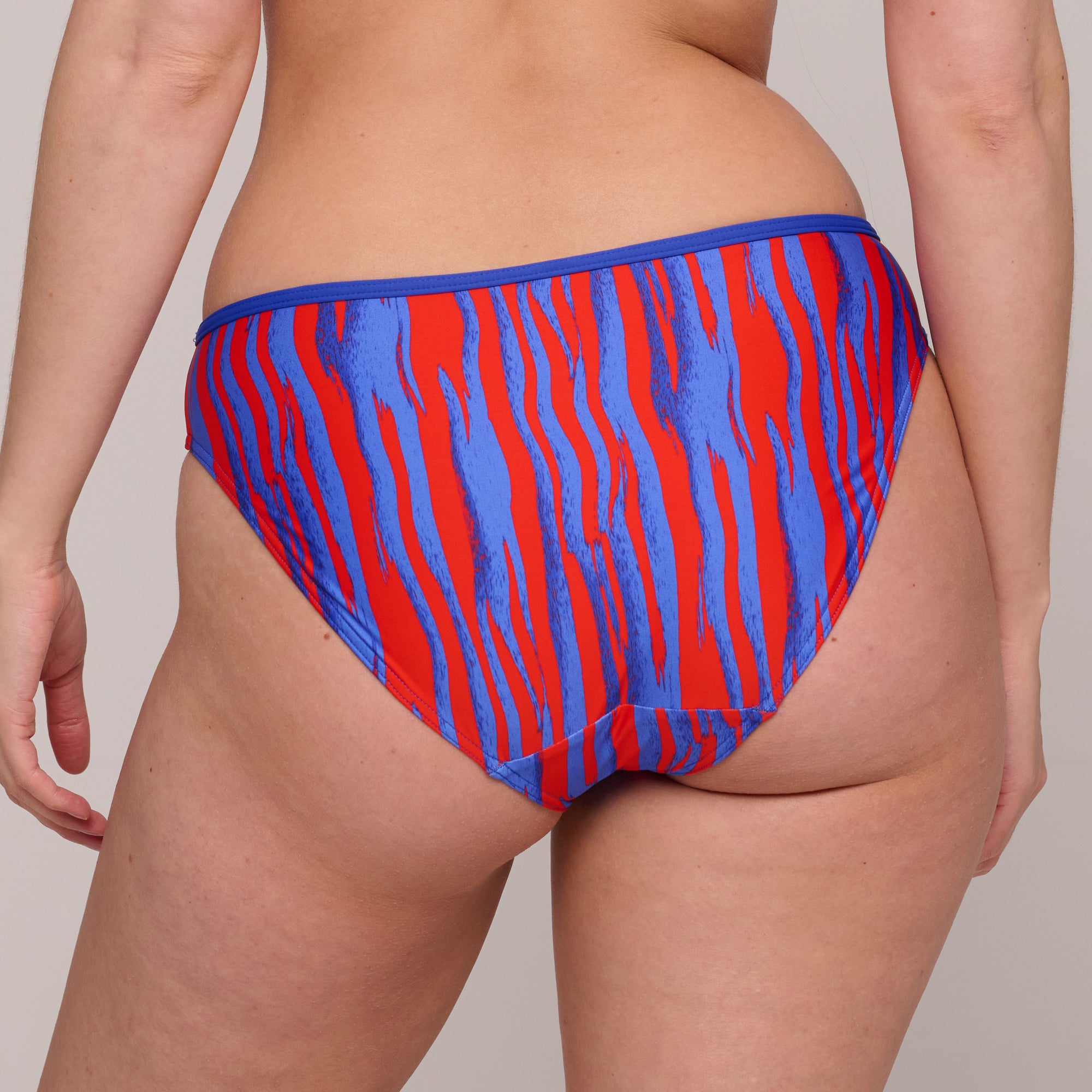 SKUDAI Wild stripes bikini braga bikini