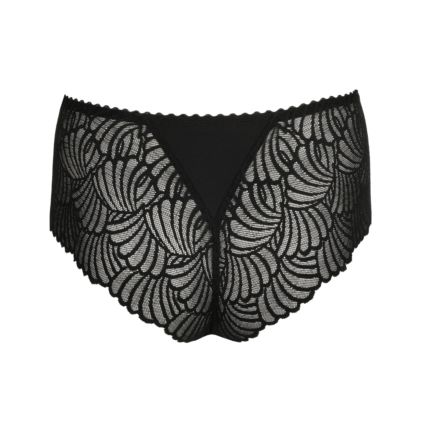 GALLIPOLI negro tanga de lujo