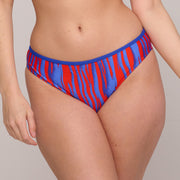 SKUDAI Wild stripes bikini braga bikini