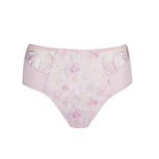 ORLANDO sweet violet braga alta